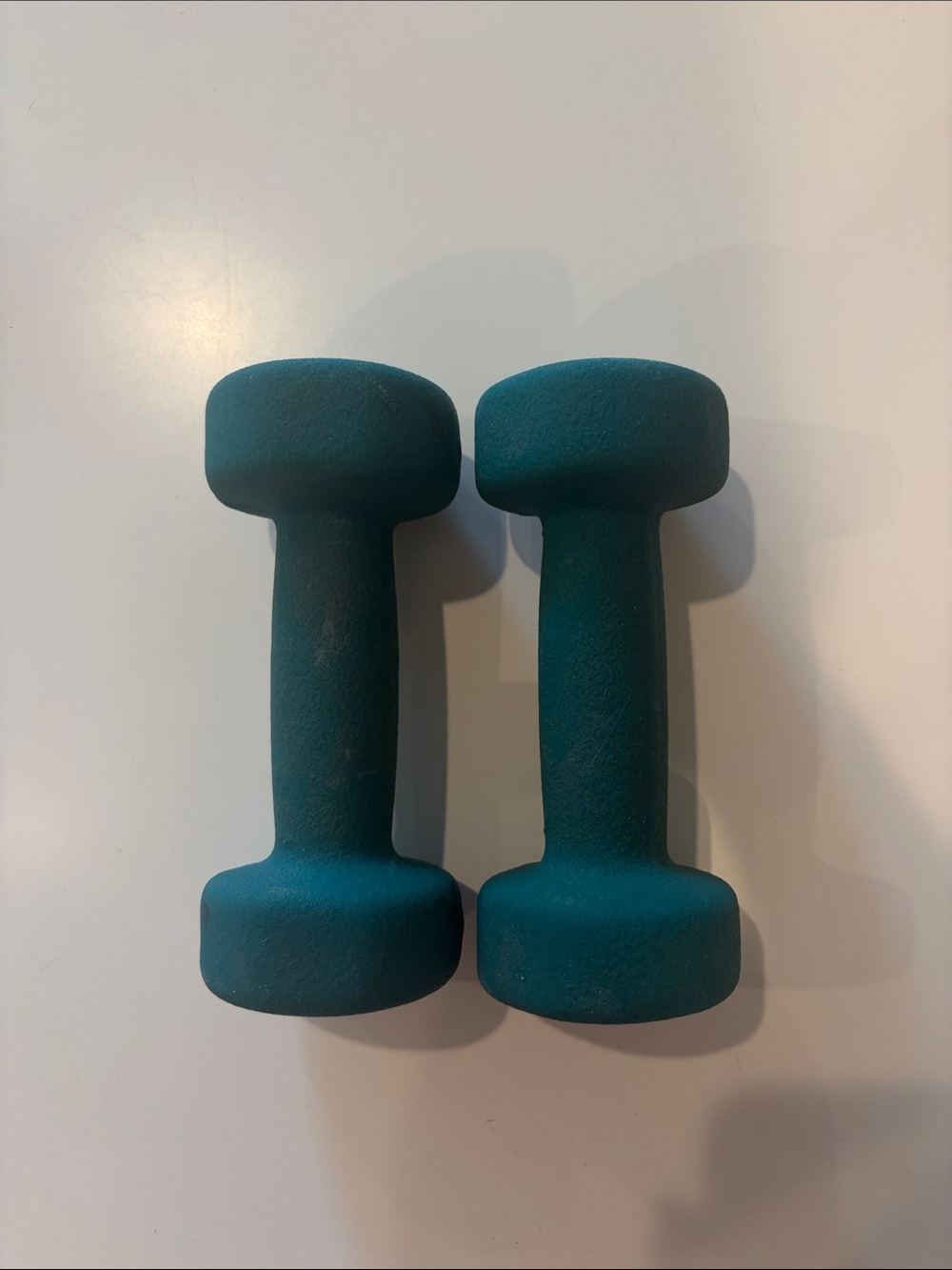 Teal Hand Weights Set - 4 lbs each